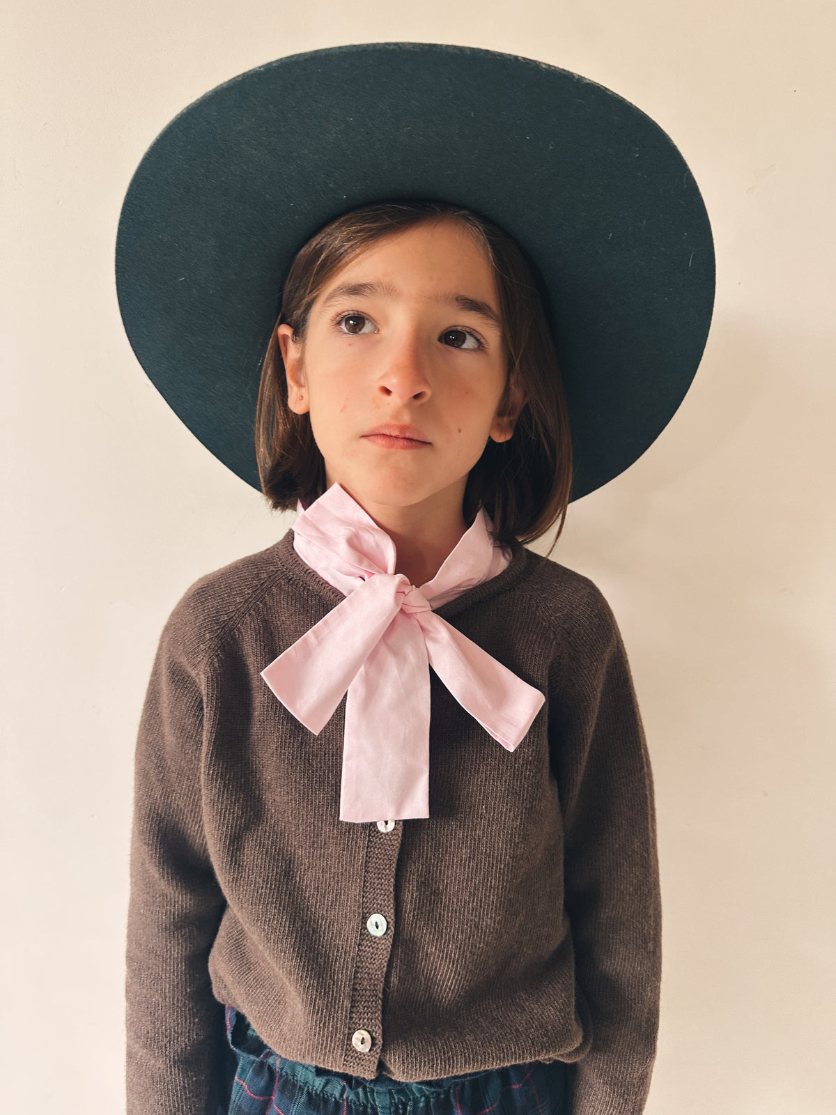 Blusa Lazo Oxford Rosita