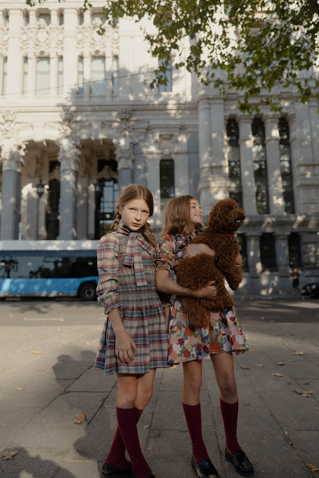 Zoom